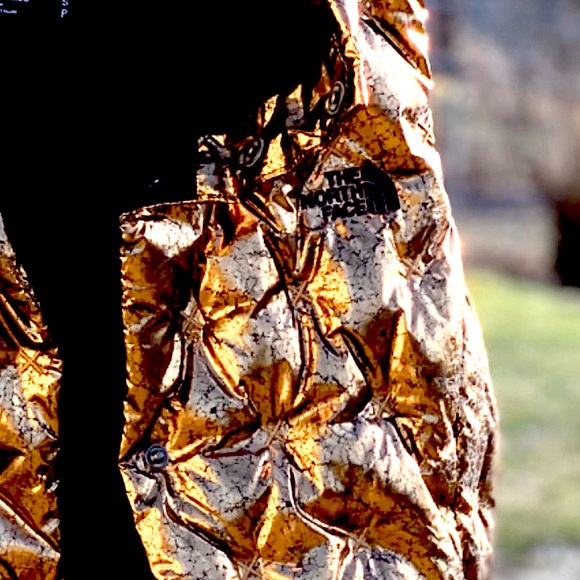 1 Left North Face Ltd Edition Goose Down Crop Puffer Vest - Picture 8 of 14